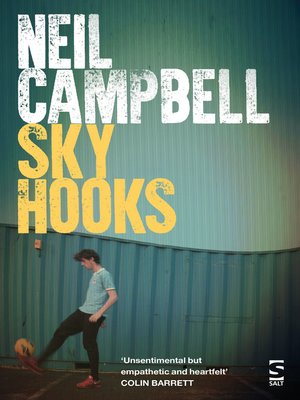 cover image of Sky Hooks